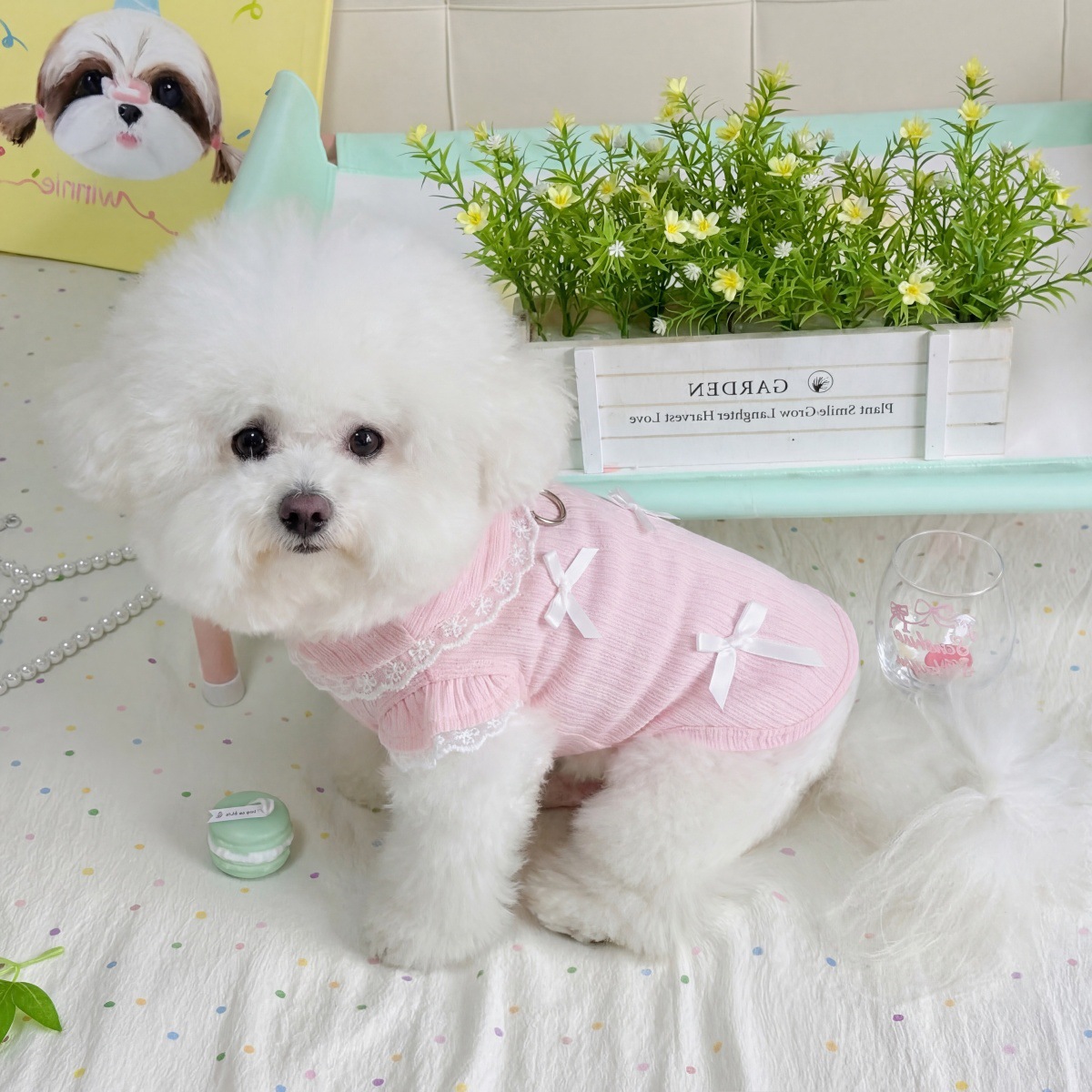 Pet Spring Lace Bow Vest Can P - Lace Teddy Lingerie recension och pris